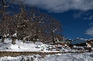Con la neve